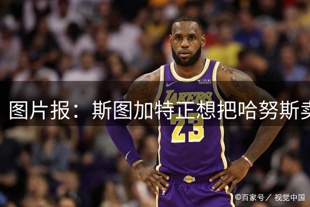 图片报：斯图加特正想把哈努斯卖出高价，标价至少6000万欧