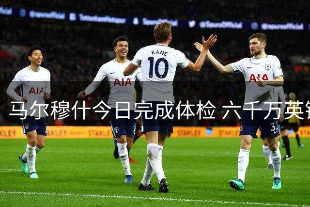 马尔穆什今日完成体检 六千万英镑转投热刺